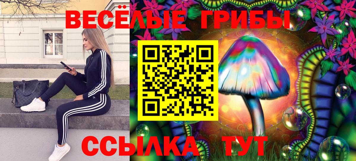 цена   Галлюциногенные грибы ЛСД  Вход с VPN  Галлюциногенные грибы мухоморы  Азнакаево 