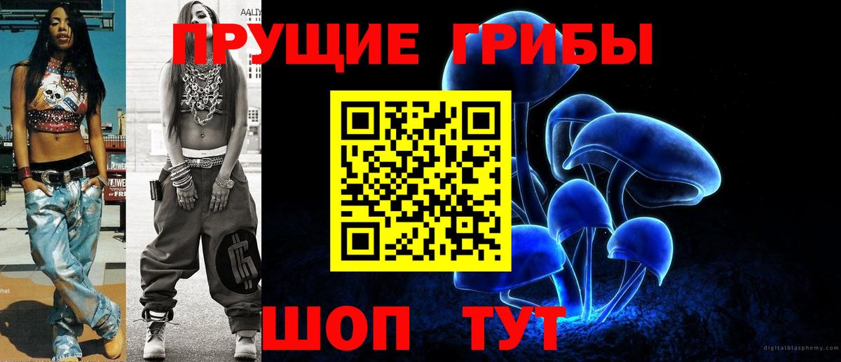 Псилоцибиновые грибы ЛСД Азнакаево